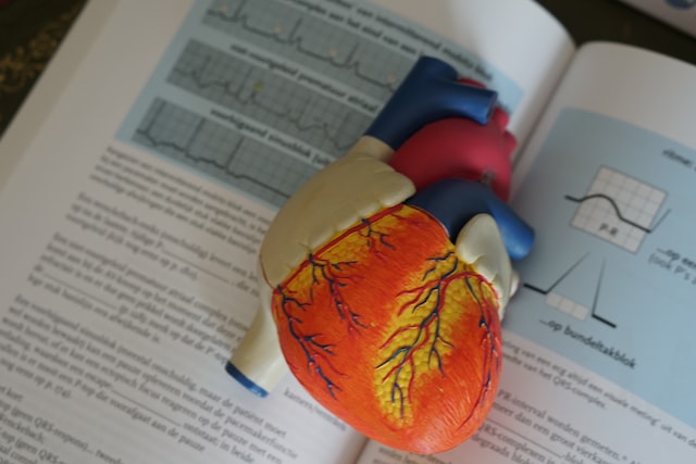 open book with a model heart